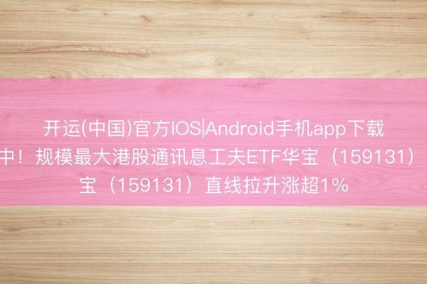 开运(中国)官方IOS|Android手机app下载 AI硬件行情扩散中！规模最大港股通讯息工夫ETF华宝（159131）直线拉升涨超1%