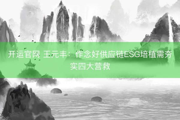开运官网 王元丰：作念好供应链ESG培植需夯实四大营救