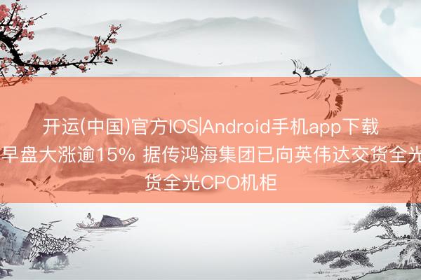 开运(中国)官方IOS|Android手机app下载 鸿腾精密早盘大涨逾15% 据传鸿海集团已向英伟达交货全光CPO机柜