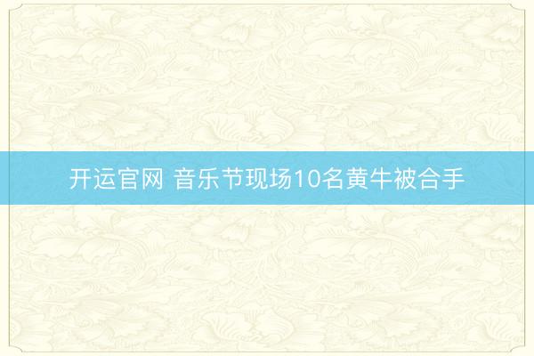 开运官网 音乐节现场10名黄牛被合手