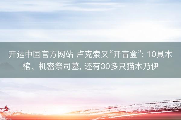开运中国官方网站 卢克索又“开盲盒”: 10具木棺、机密祭司墓， 还有30多只猫木乃伊