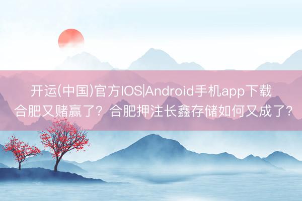 开运(中国)官方IOS|Android手机app下载 合肥又赌赢了？合肥押注长鑫存储如何又成了？