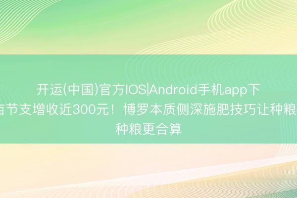 开运(中国)官方IOS|Android手机app下载 每亩节支增收近300元！博罗本质侧深施肥技巧让种粮更合算